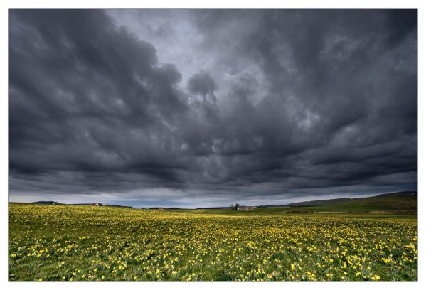 Auvergne
