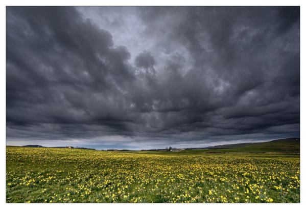 Auvergne