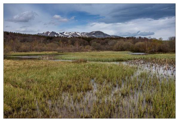 Auvergne