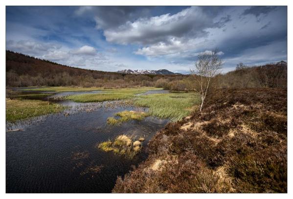 Auvergne