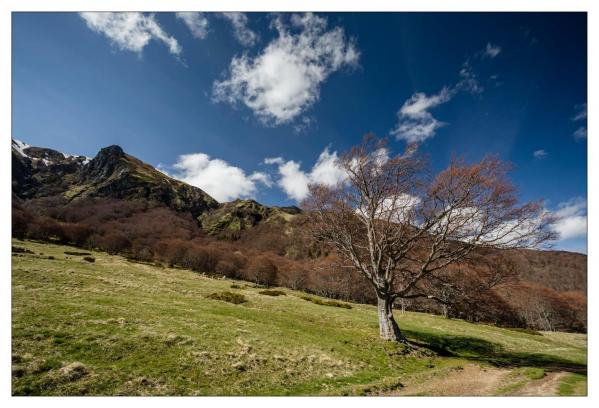 Vallée de Chaudefour