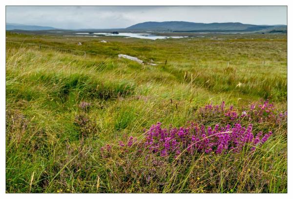 Connemara