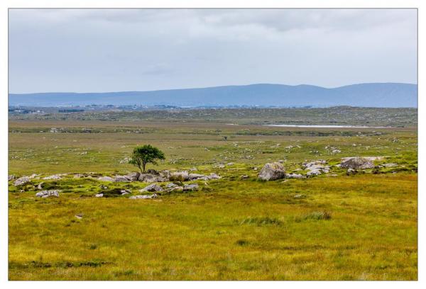 Connemara