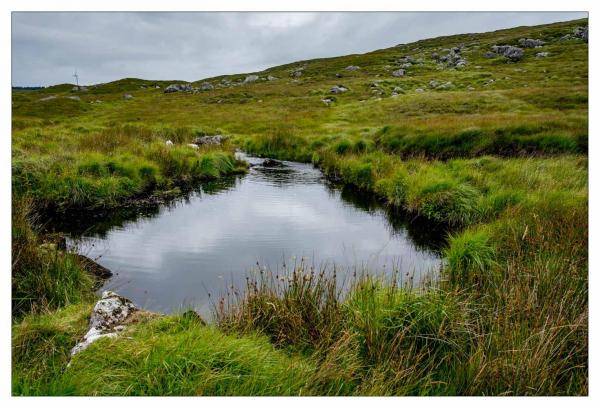 Connemara