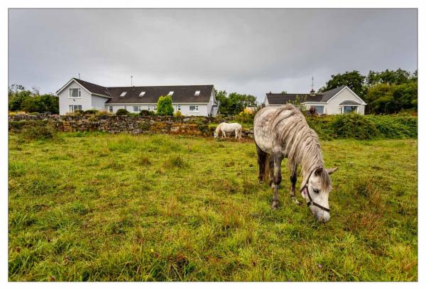 Connemara