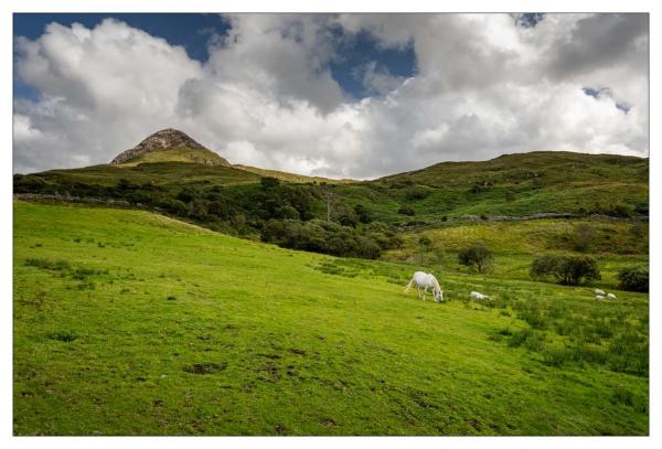 Connemara
