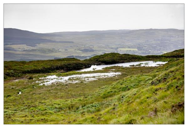 Connemara