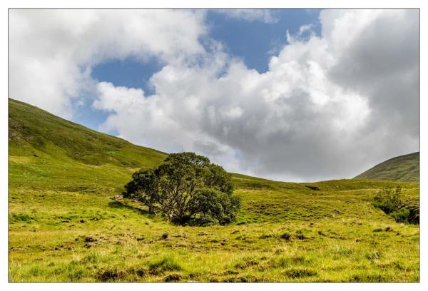 Connemara