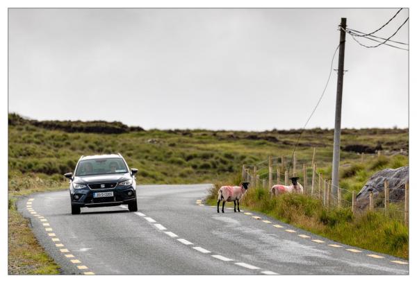 Connemara