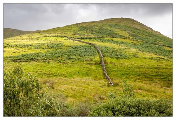Connemara