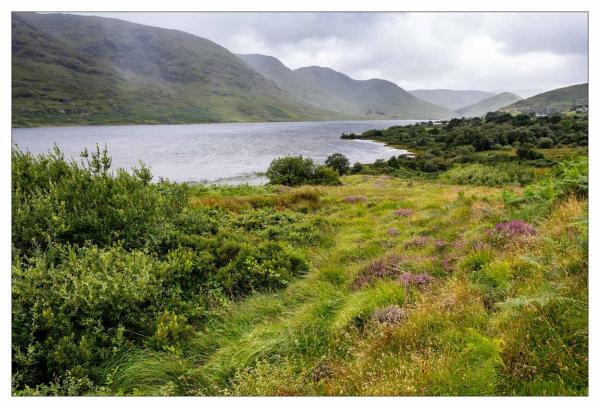 Connemara