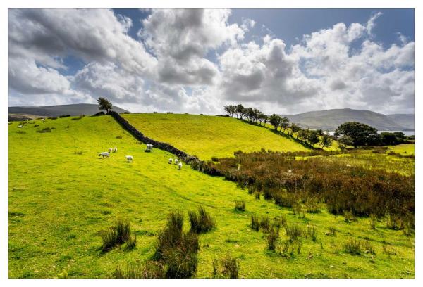 Connemara