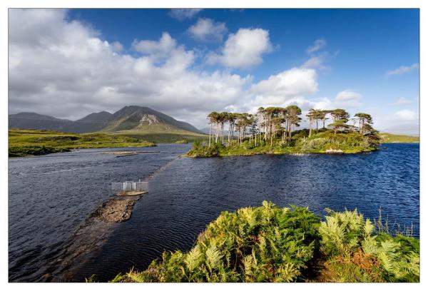 Connemara