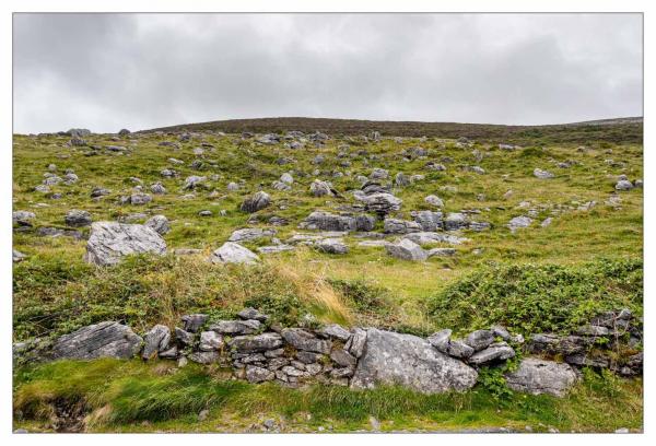 Burren