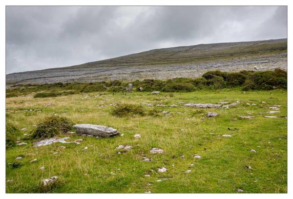 Burren