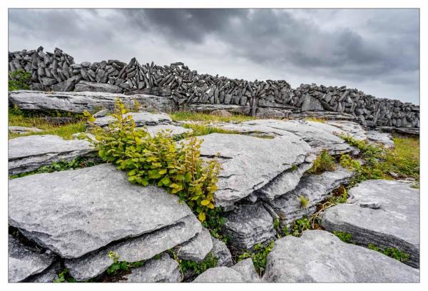 Burren