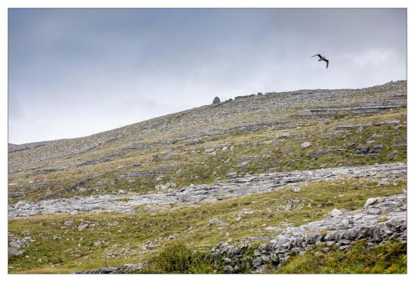 Burren