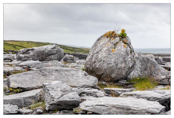 Burren