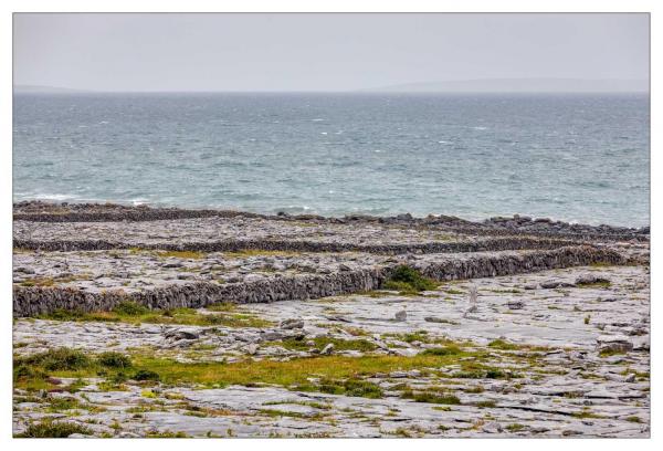Burren