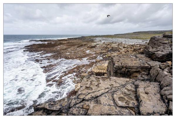 Burren