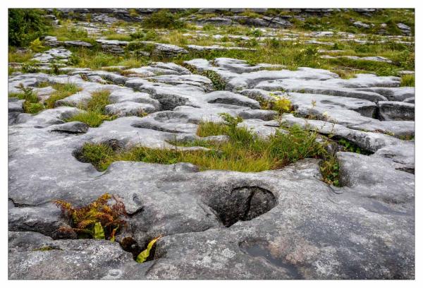 Burren