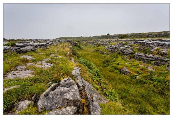 Burren