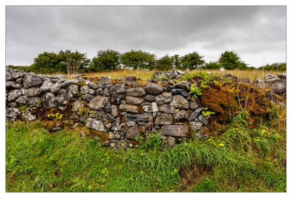 Burren
