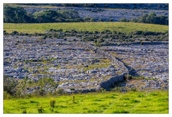 Burren
