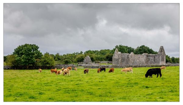 Burren