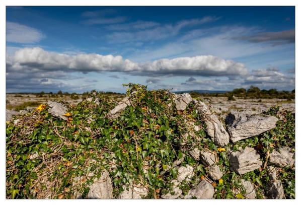 Burren