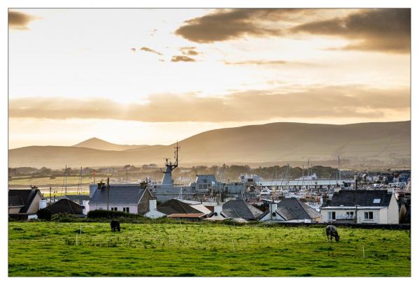 Dingle