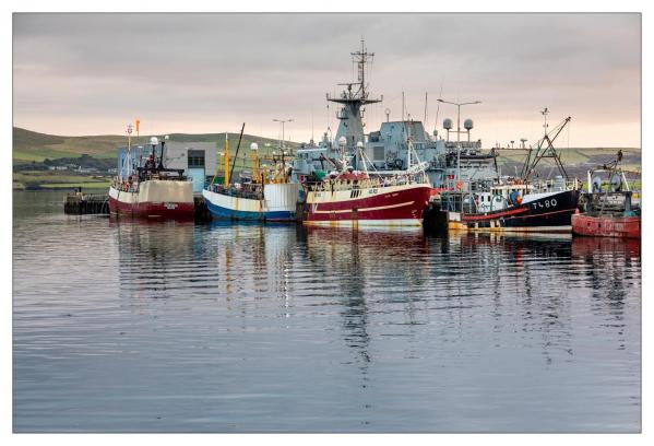 Dingle