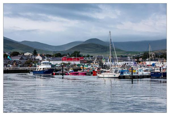 Dingle