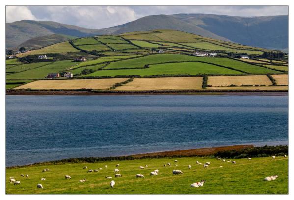 Péninsule de Dingle