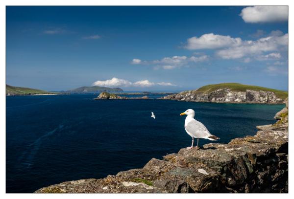 Péninsule de Dingle