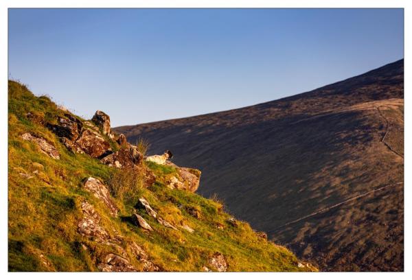 Dingle Peninsula