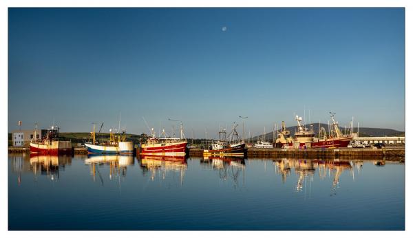 Dingle