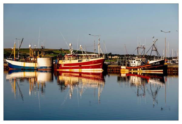 Dingle