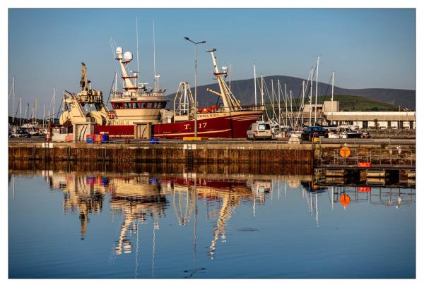 Dingle