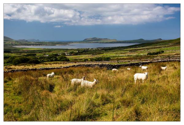 Dingle Peninsula