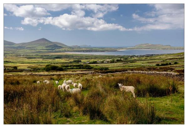 Dingle Peninsula