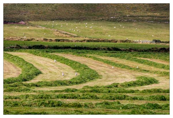 Dingle Peninsula