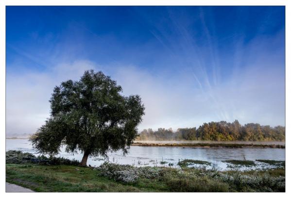 Chaumont sur Loire