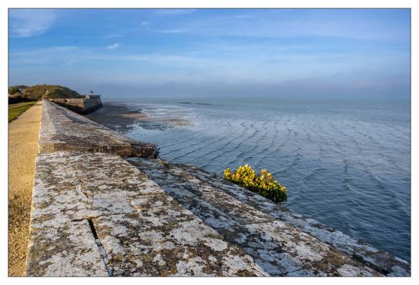 Île de Ré
