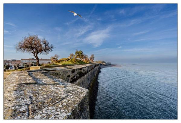Île de Ré