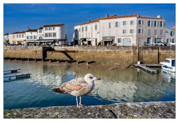 Île de Ré