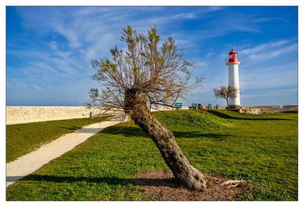Île de Ré