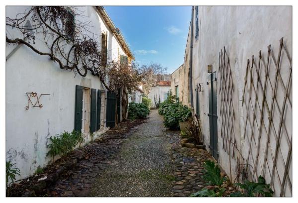 Île de Ré