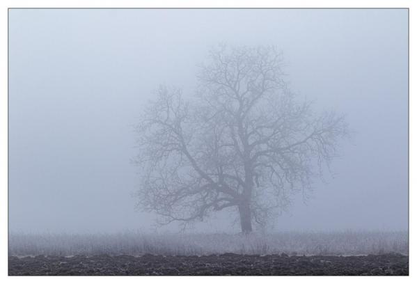 Loir et Cher