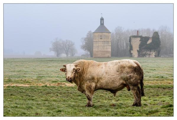 Nièvre